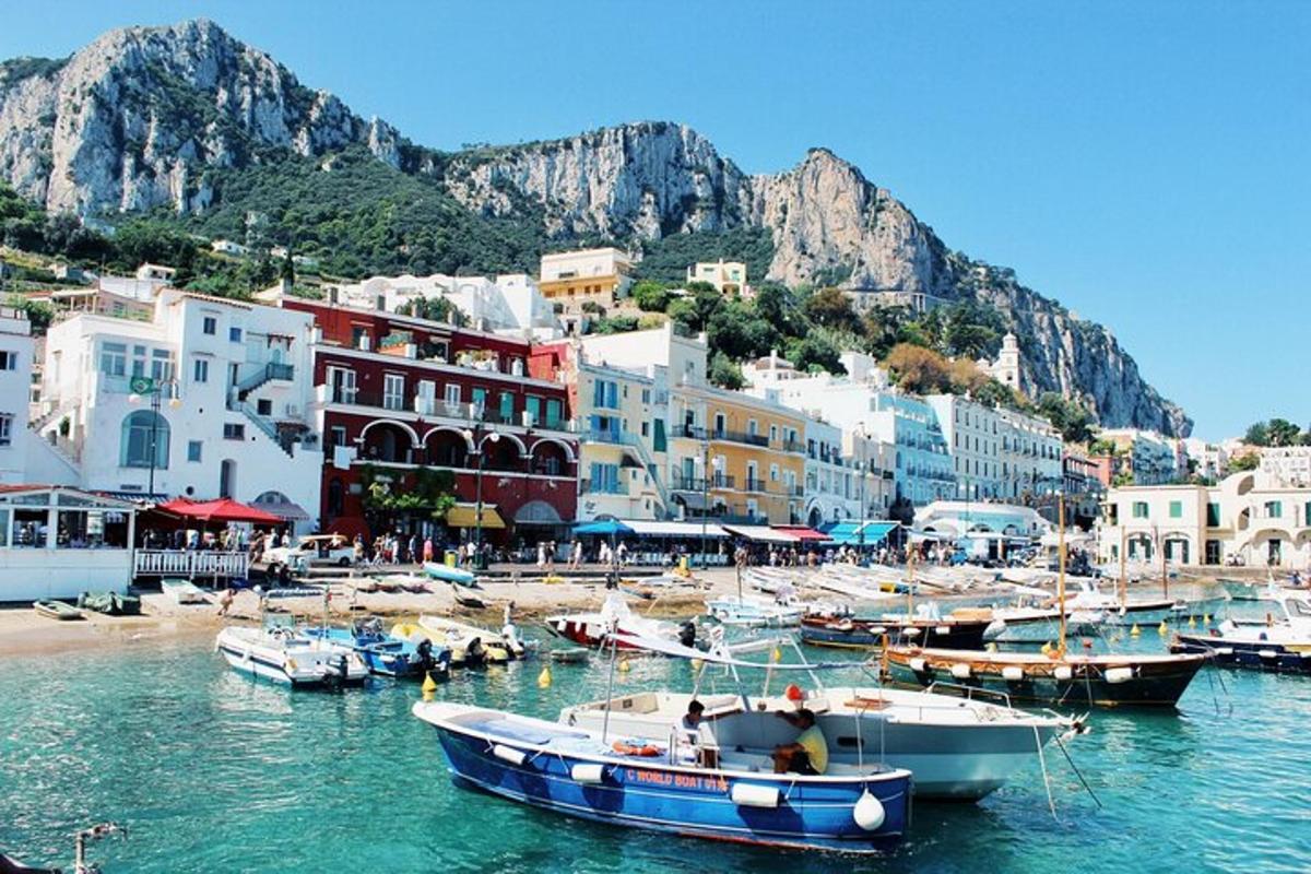 a group of boats in the water in a harbor