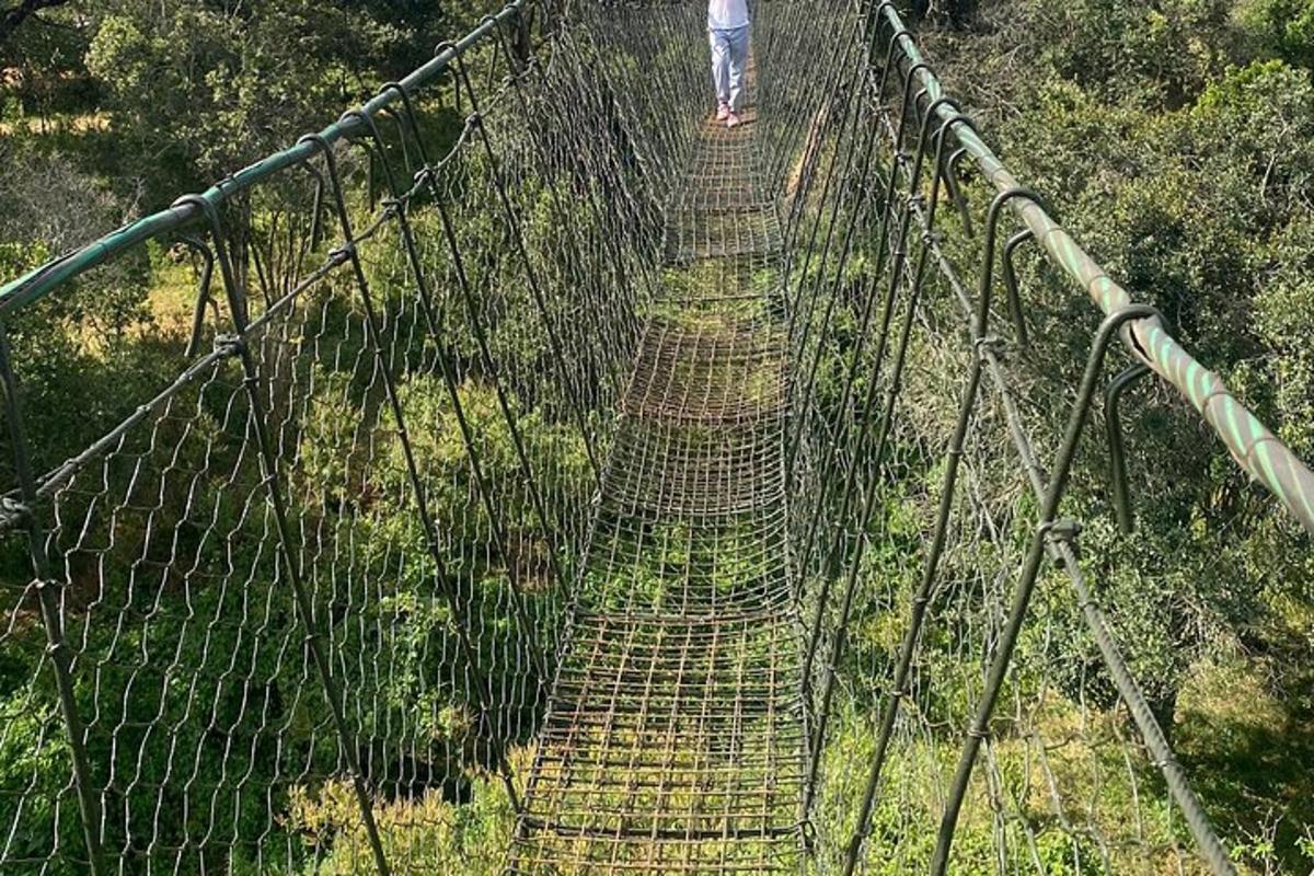 תמונה מספר 2 של האטרקציה