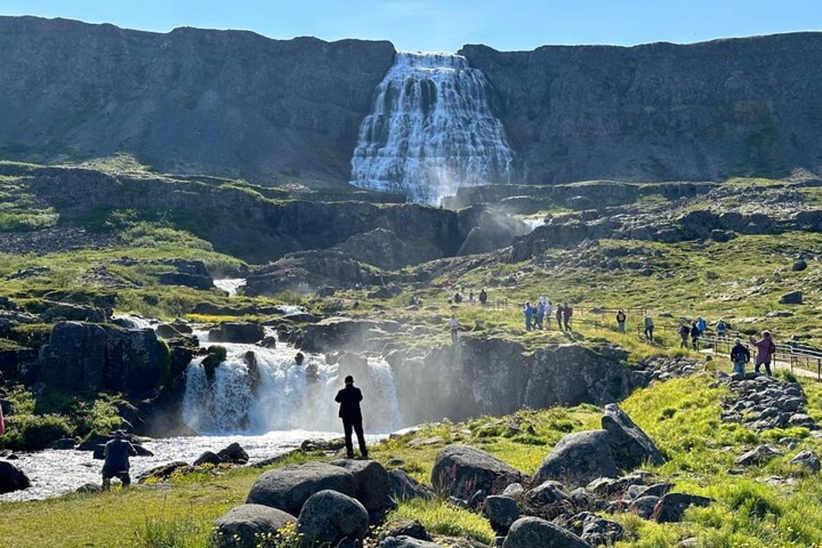 Ljósmynd af afþreyingu 3