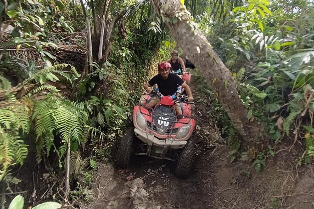 dues persones que viatgen en un quad al bosc