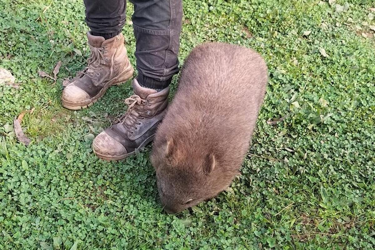 Slika znamenitosti številka 2