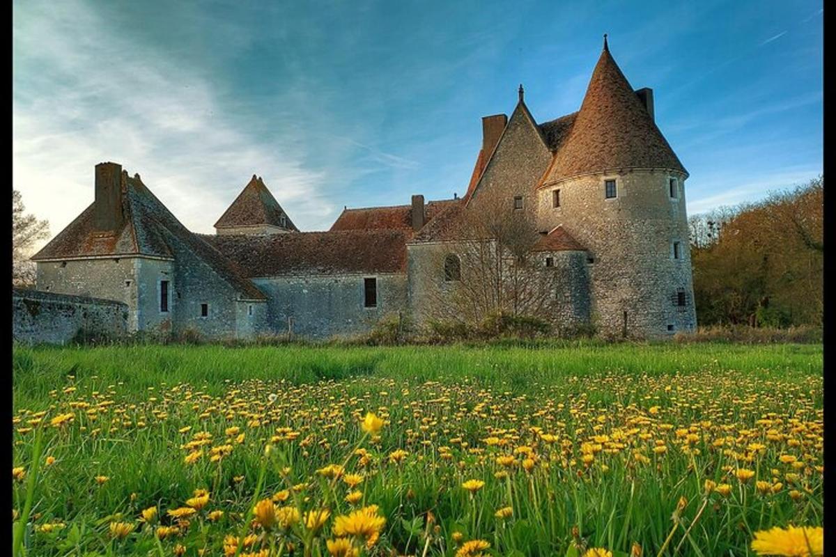 an old castle with a field of flowers in front of it