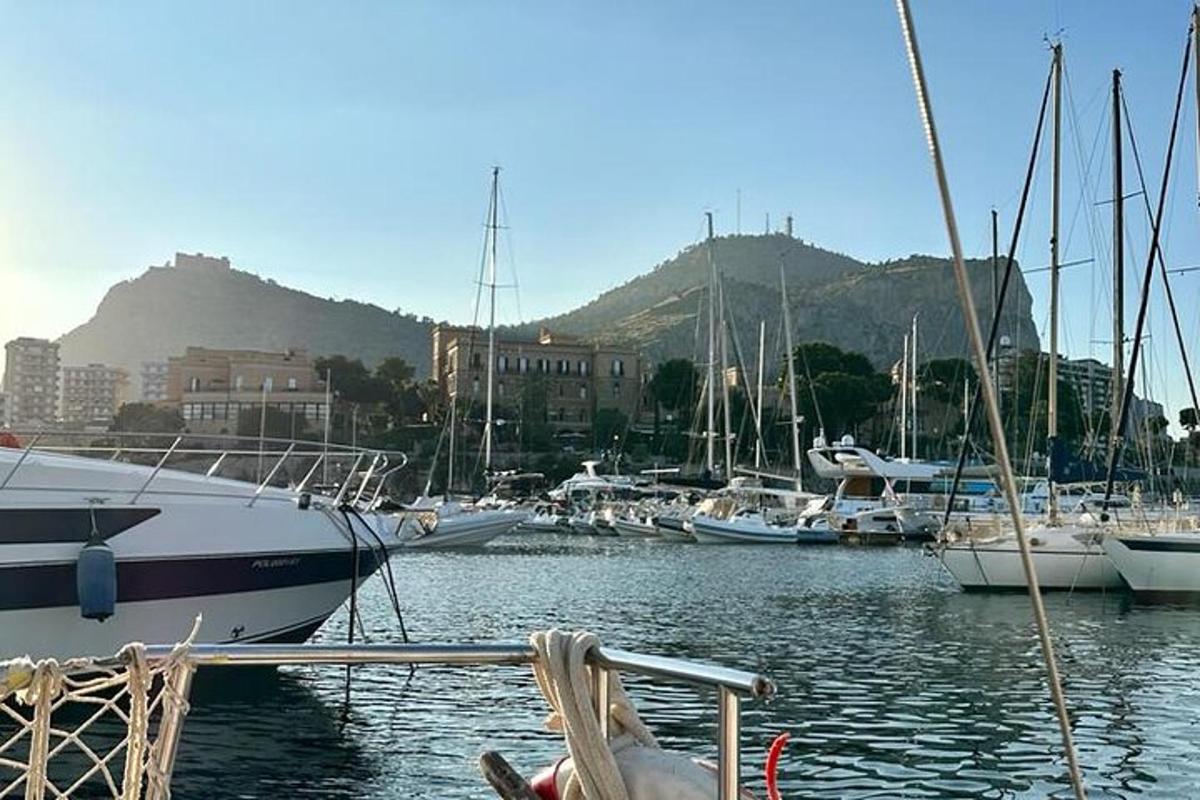 o grămadă de bărci sunt acostate într-un port de agrement