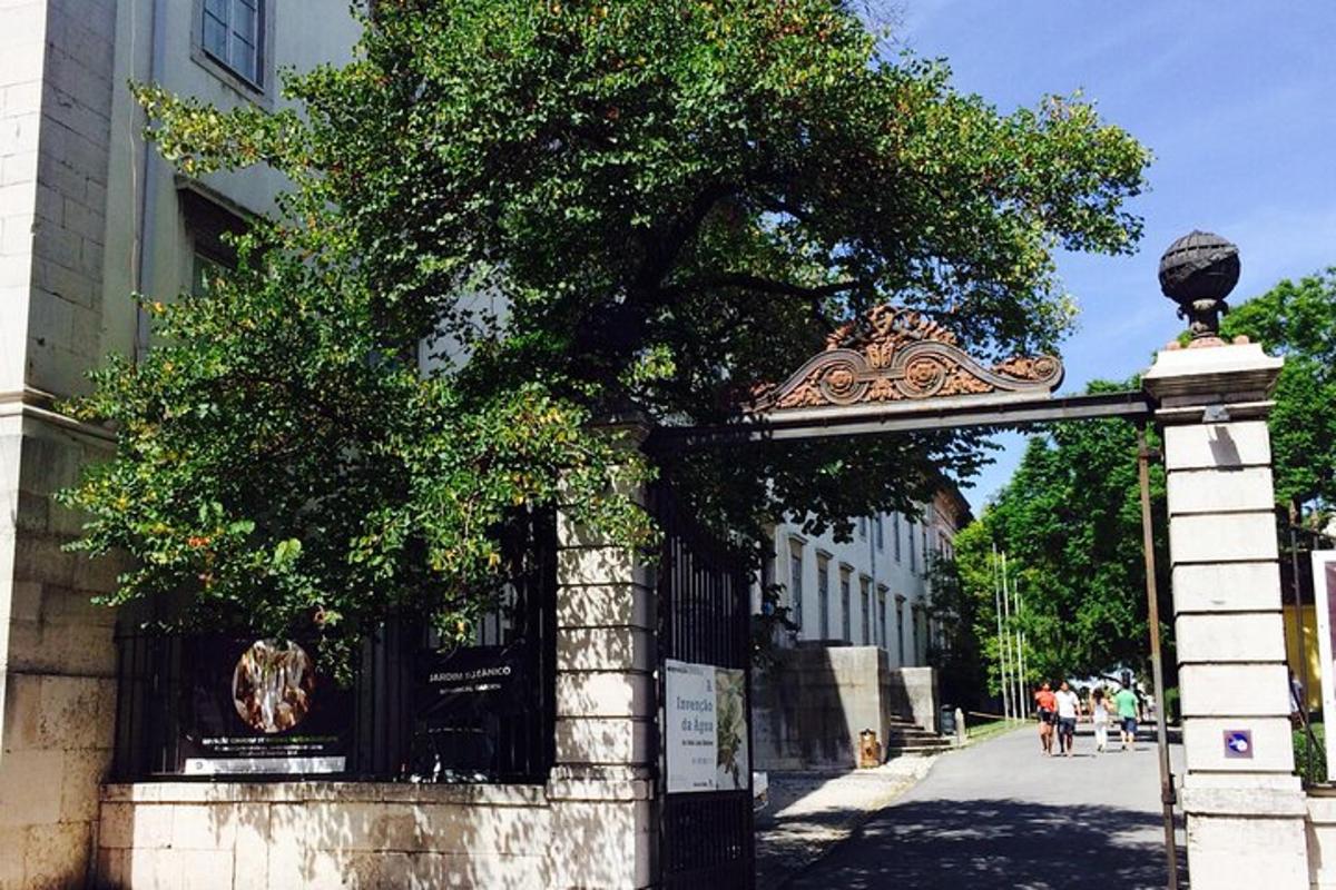a gate with a tree in front of a building