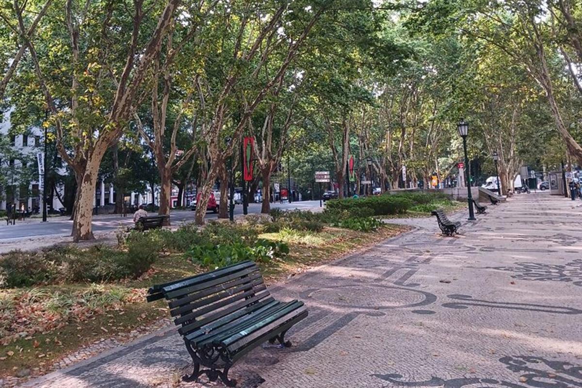 sebuah taman dengan bangku dan pepohonan di jalan