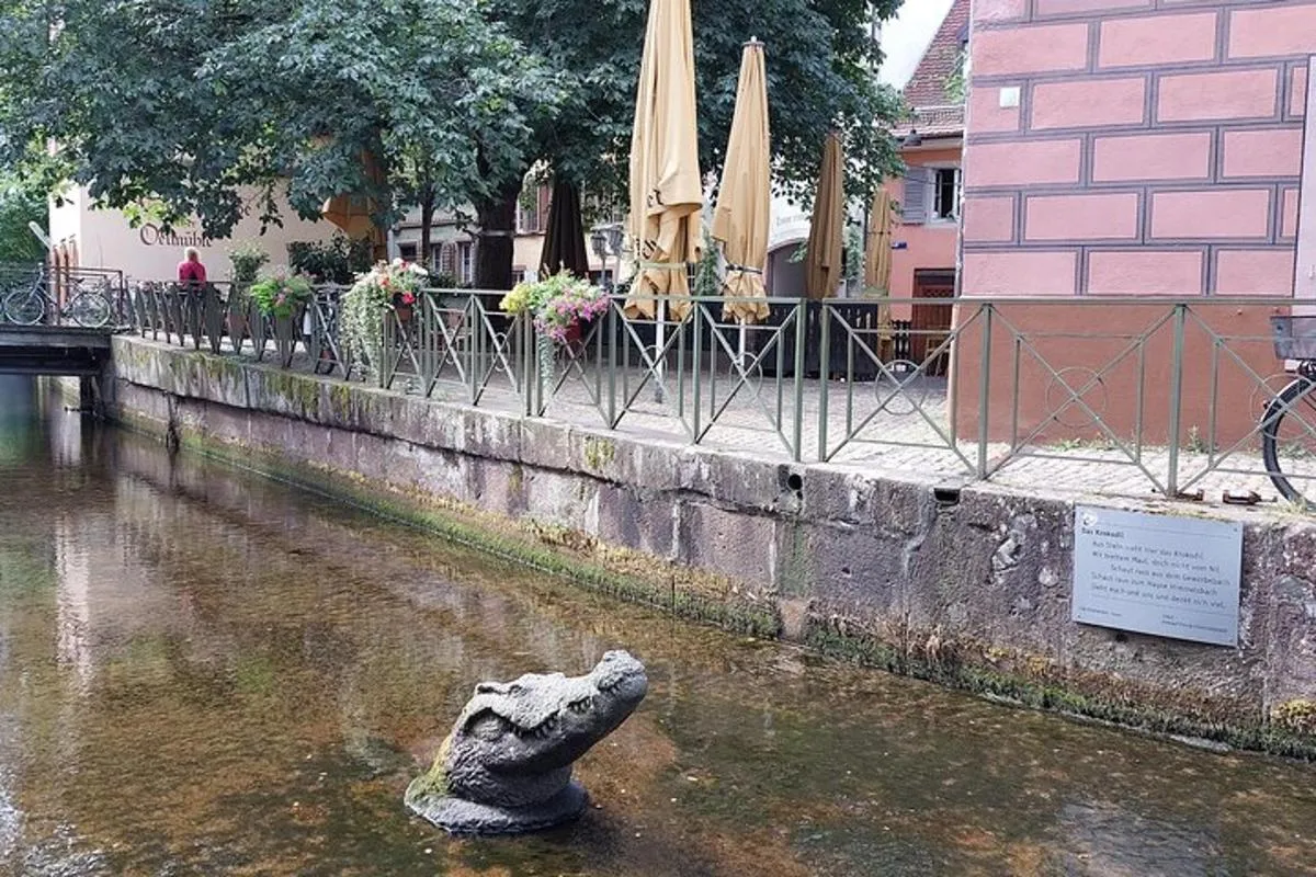 Fribourg : visite privée à pied du centre médiéval et ses Bächle, 2 h – photo 4