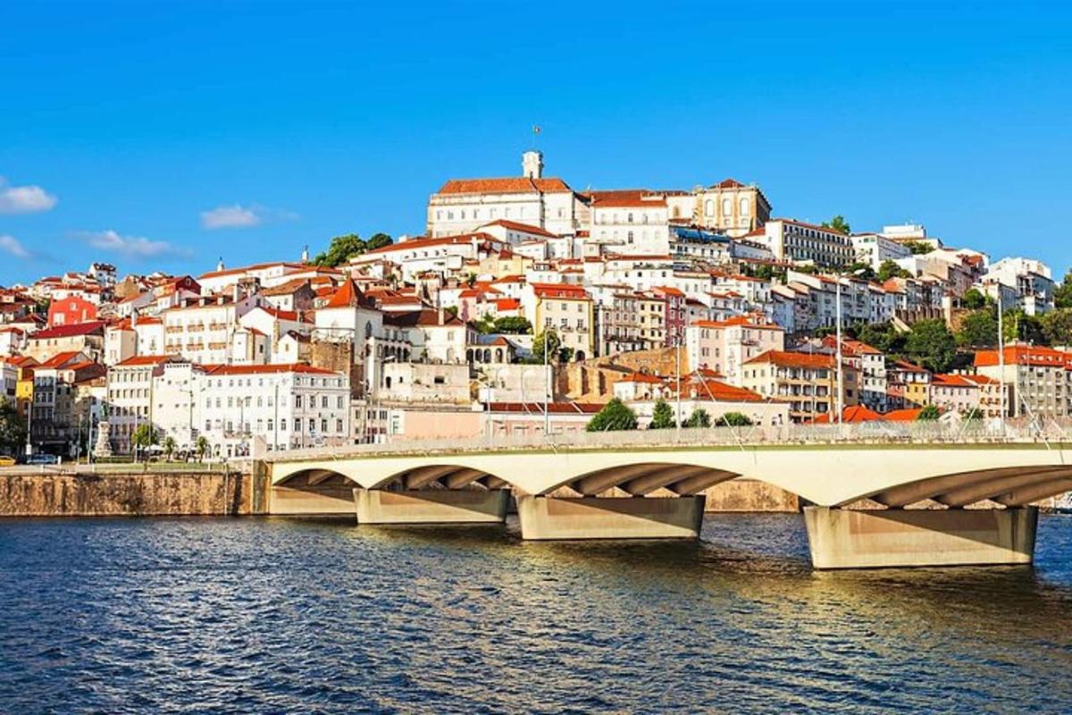 a bridge over a river in front of a city