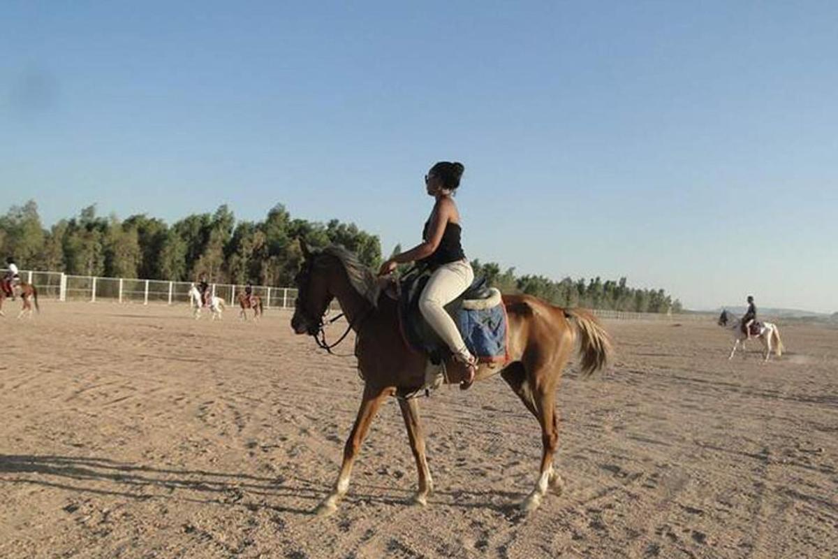 امرأة تركب على ظهر حصان