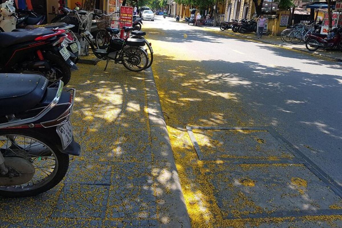 skupina motocyklů zaparkovaných na kraji ulice