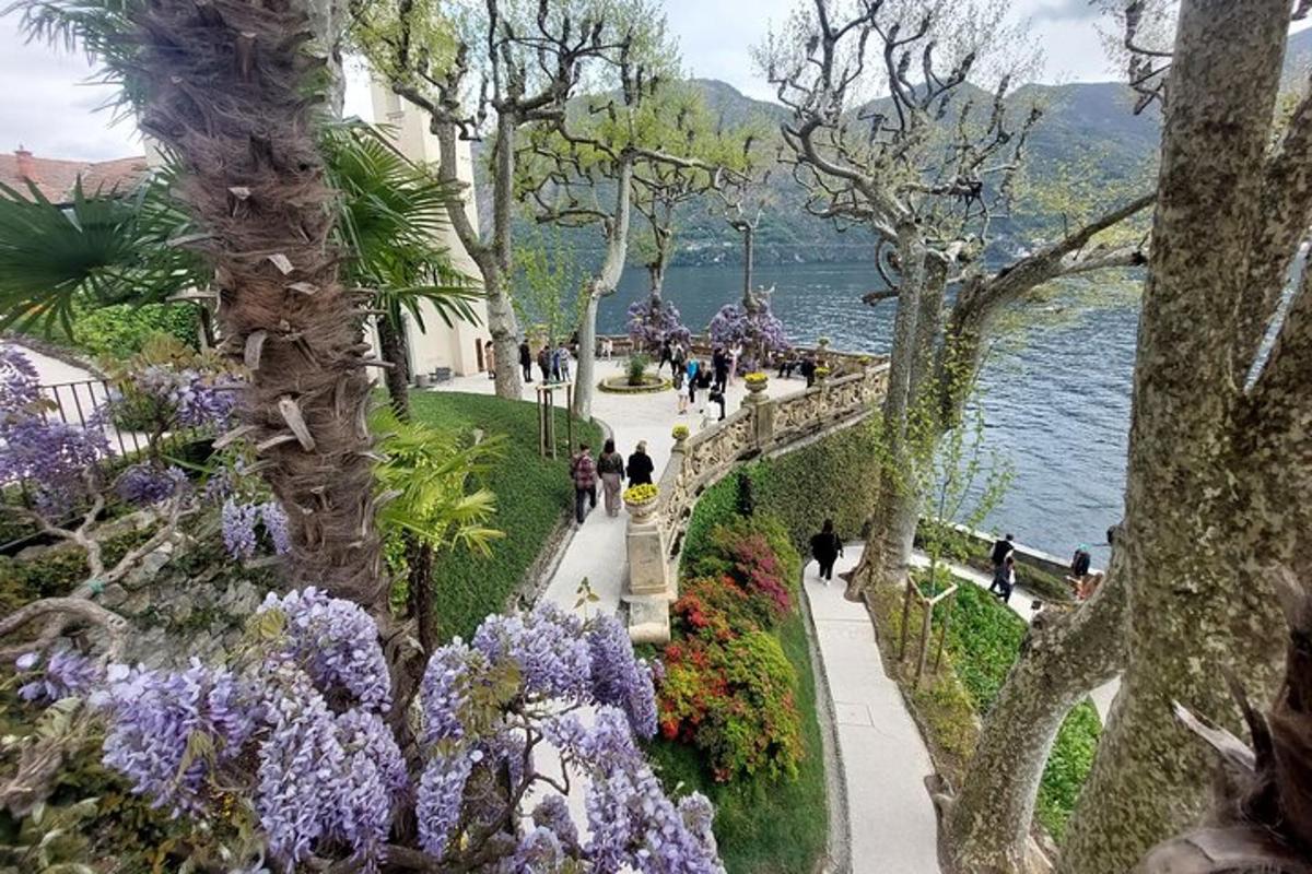 persone che camminano lungo un sentiero in un parco con fiori viola