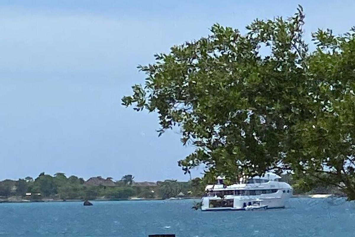 a white boat in the water under a tree