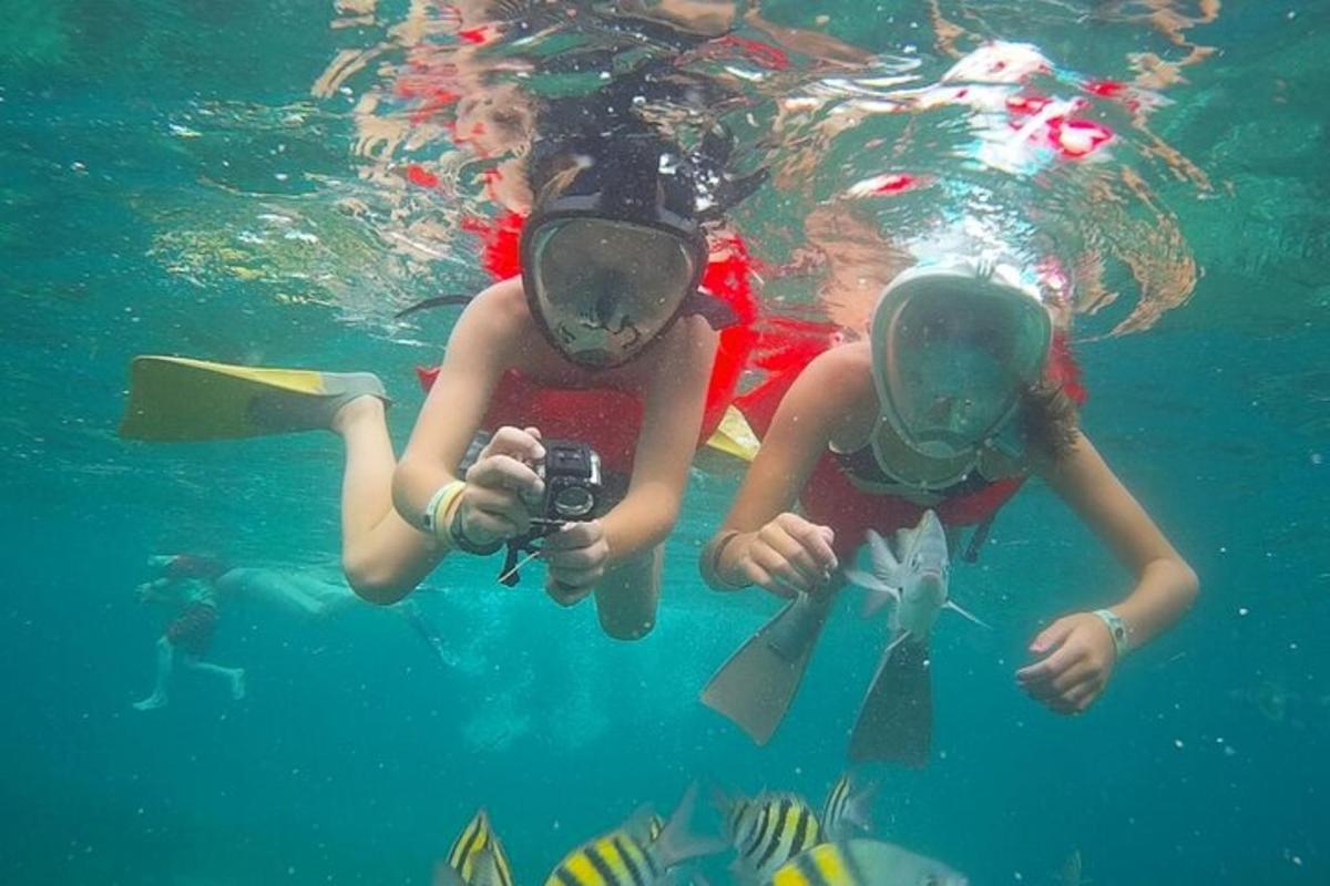zwei Personen im Wasser, die Fische fotografieren