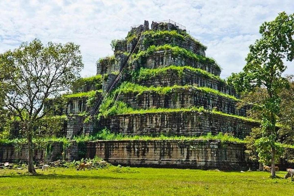 un grande edificio con delle piante che crescono su di esso