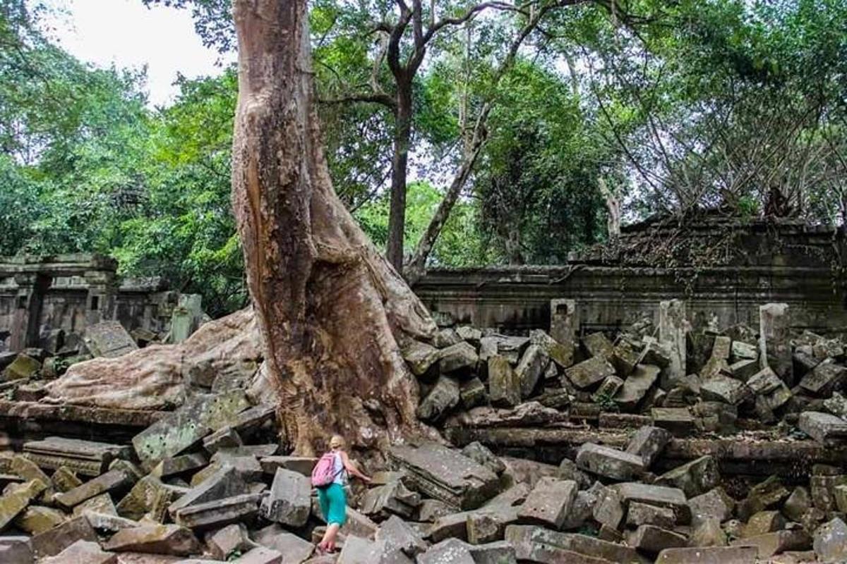 una donna che cammina oltre un albero in un mucchio di rocce