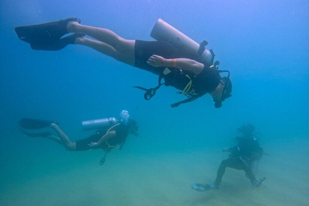 un gruppo di persone che nuotano nell'acqua