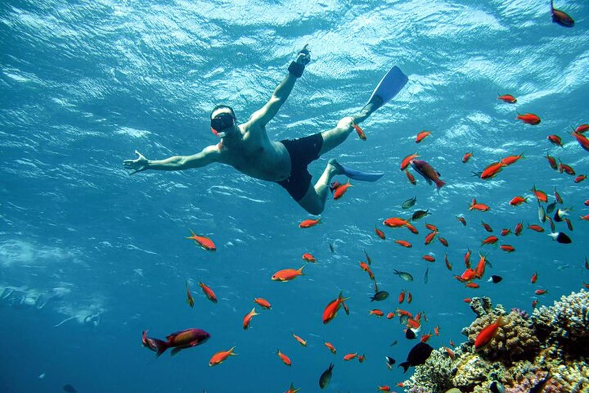 Un hombre está nadando en el agua con un pez.