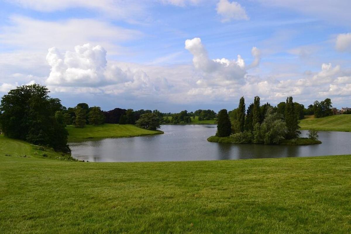 a river in a field with green grass and trees