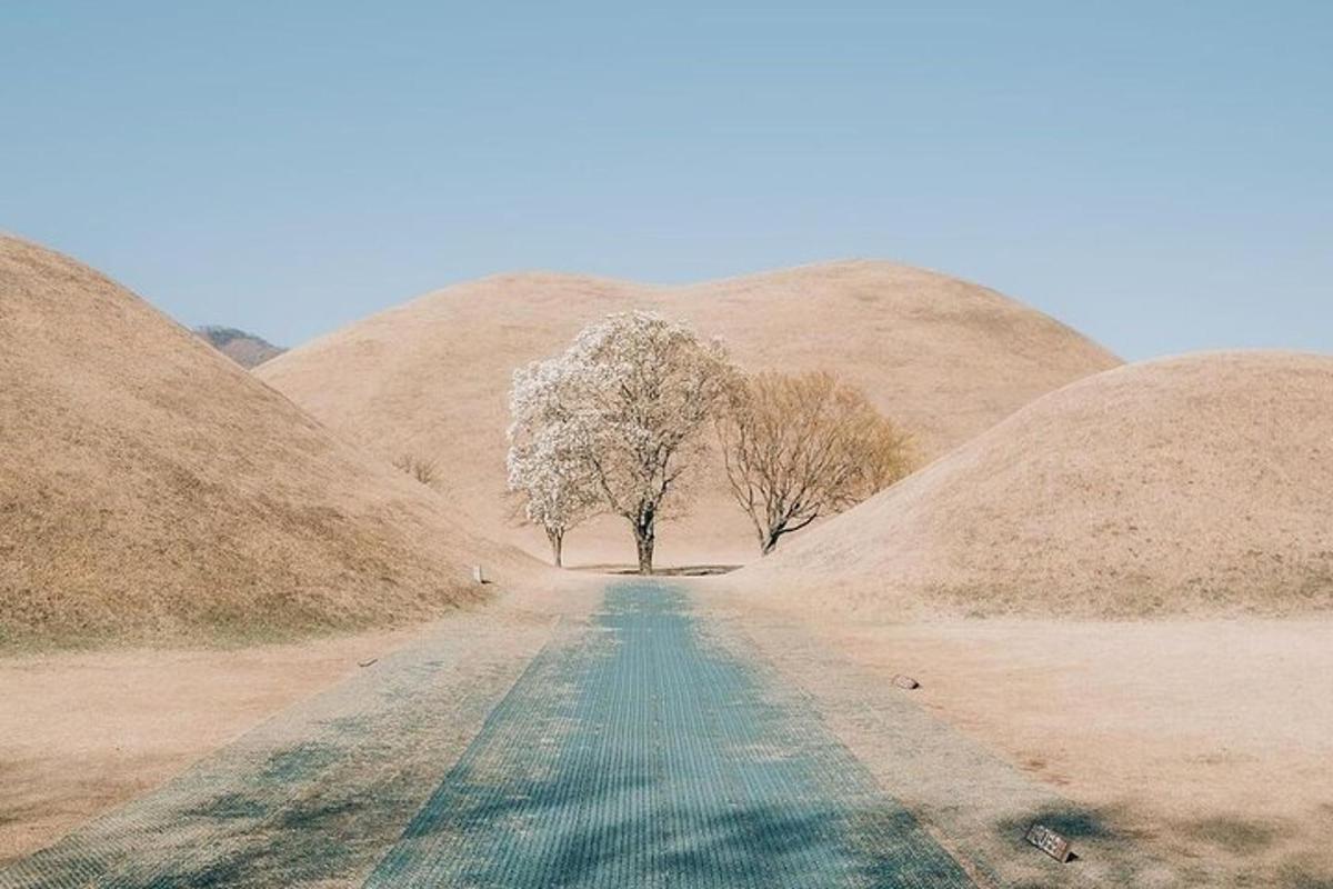 Fotografia 7 a atracției