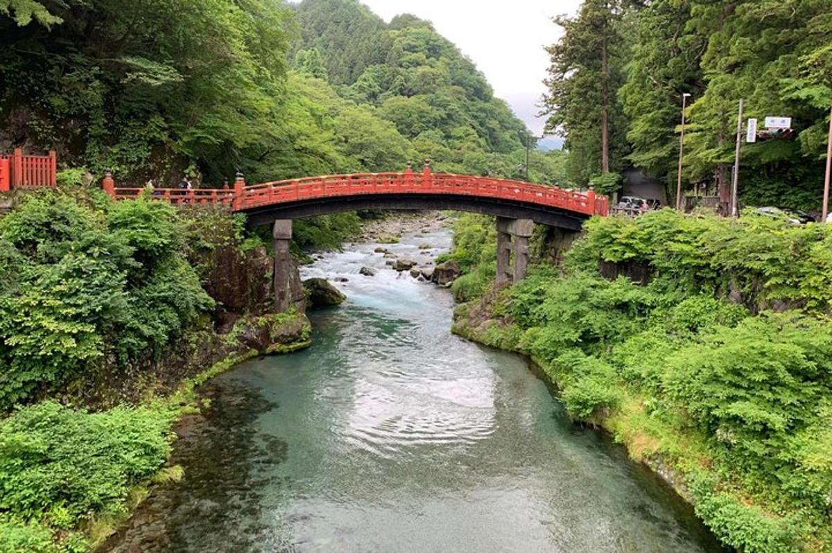 uma ponte vermelha sobre um rio em uma floresta