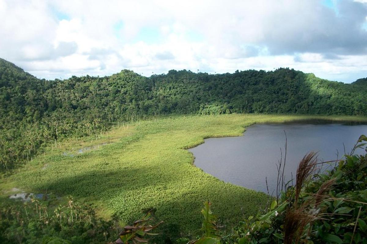 a large body of water with grass and trees