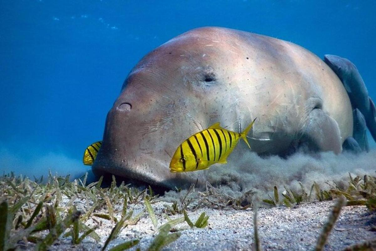 Lankytinos vietos ar pramogos nuotrauka numeris 5