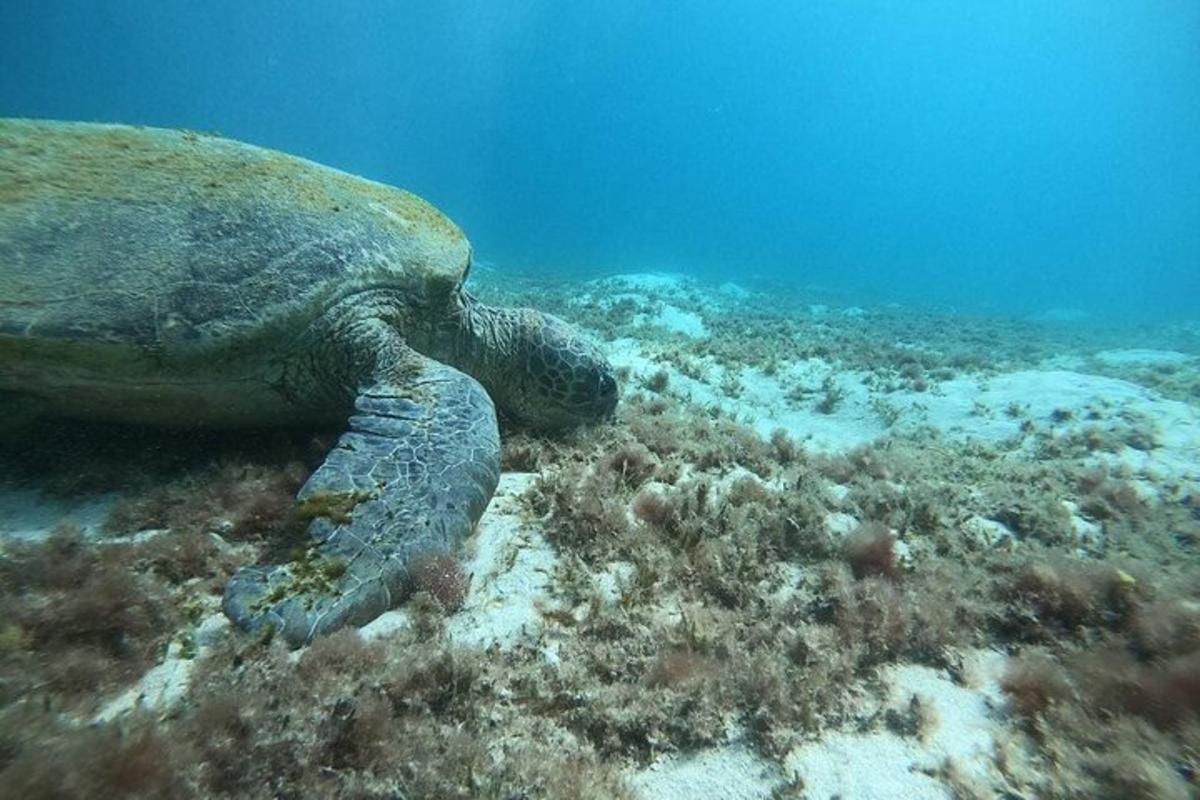 Lankytinos vietos ar pramogos nuotrauka numeris 6