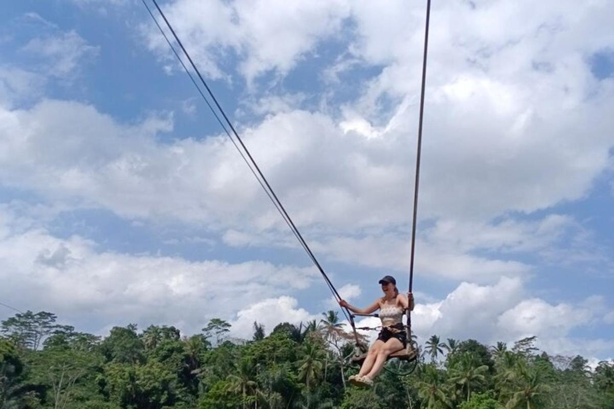 um homem em uma tirolesa na selva