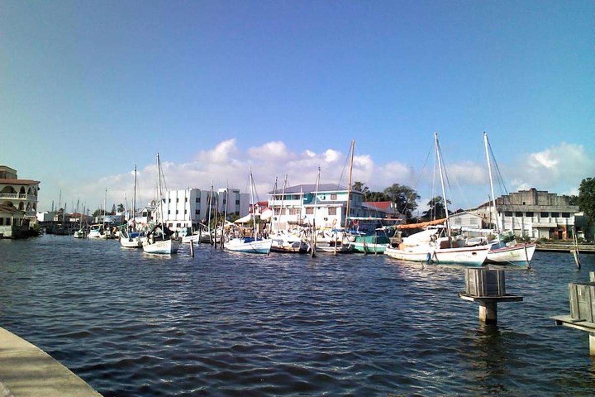 a group of boats are docked in a harbor