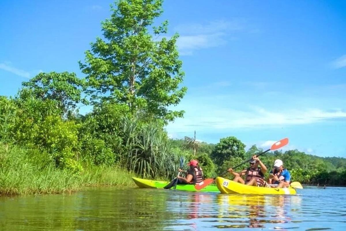 a group of people in kayaks on a river