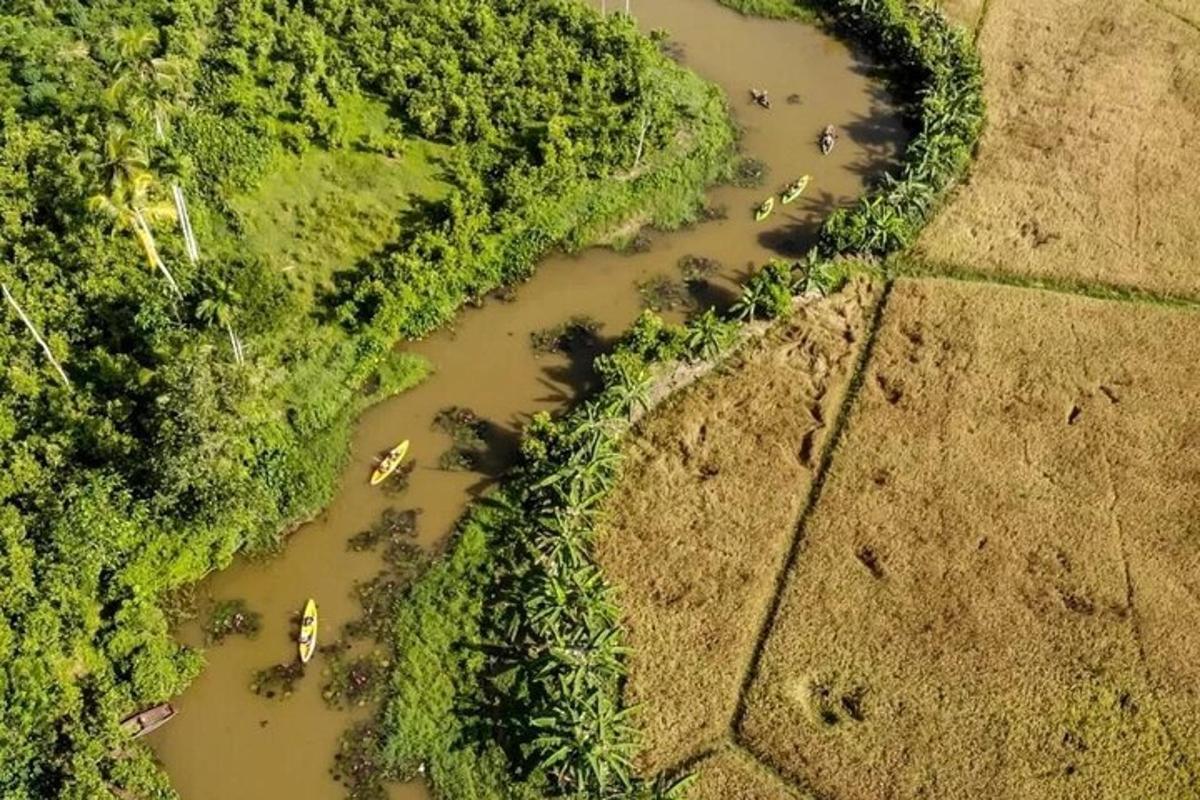 an aerial view of a river with animals in it