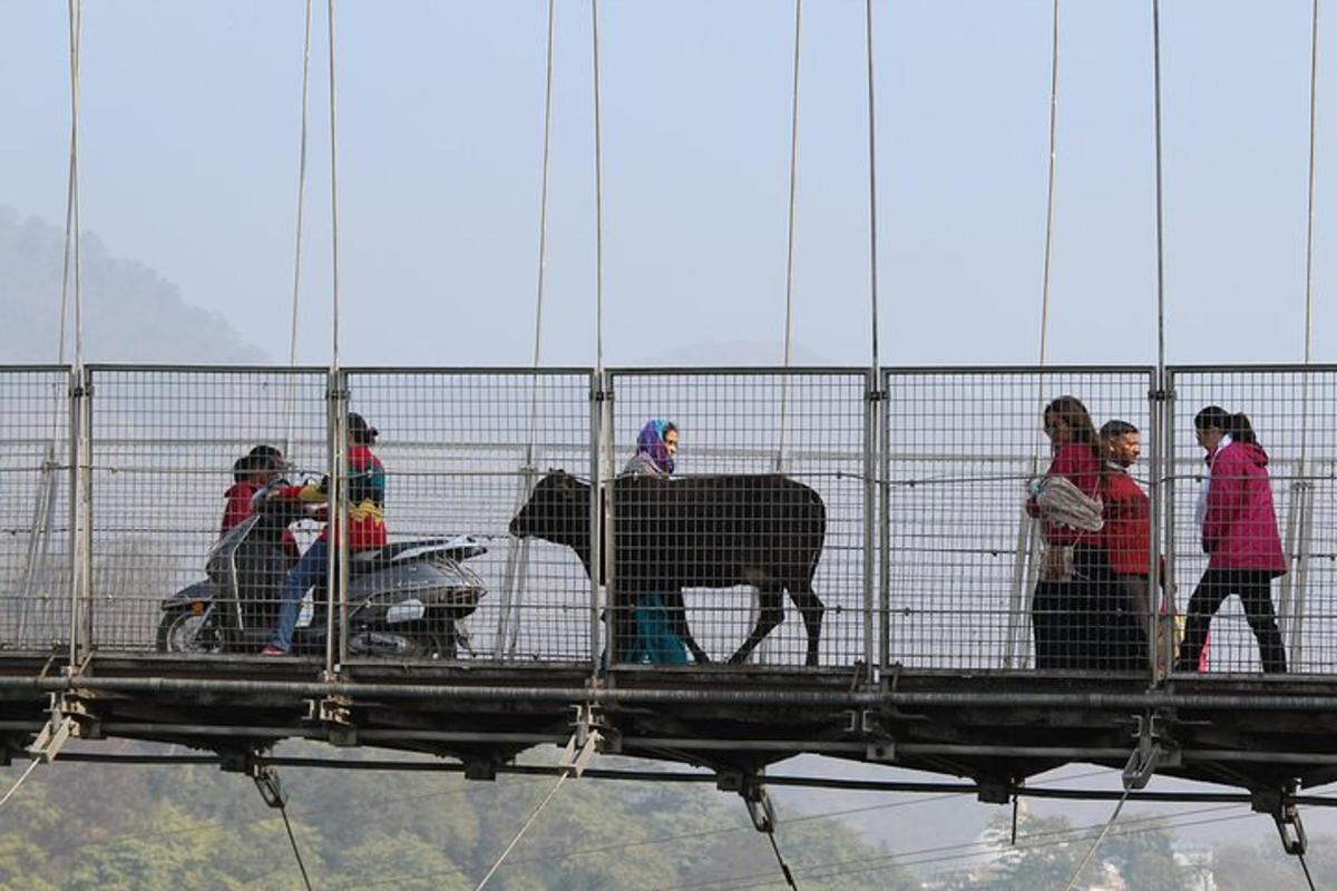 Fotografia da atração 4