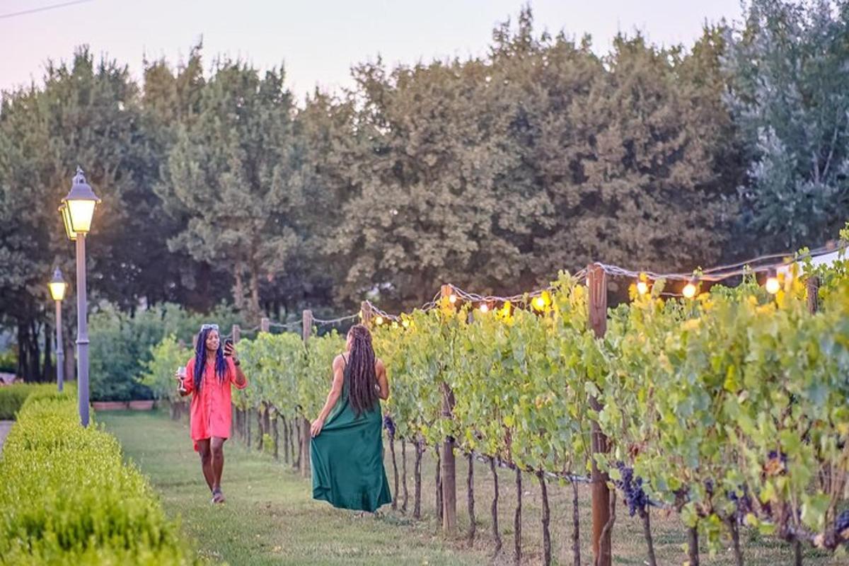 Dos mujeres caminando entre una hilera de uvas de vino