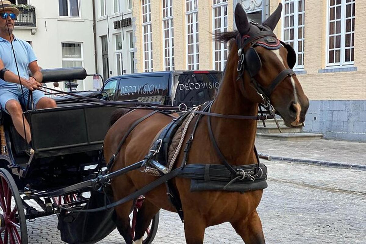 Zdjęcie numer 2 atrakcji