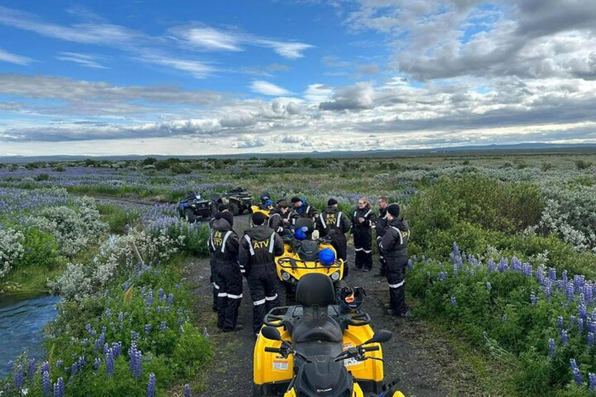 Photo de l’attraction numéro 2.