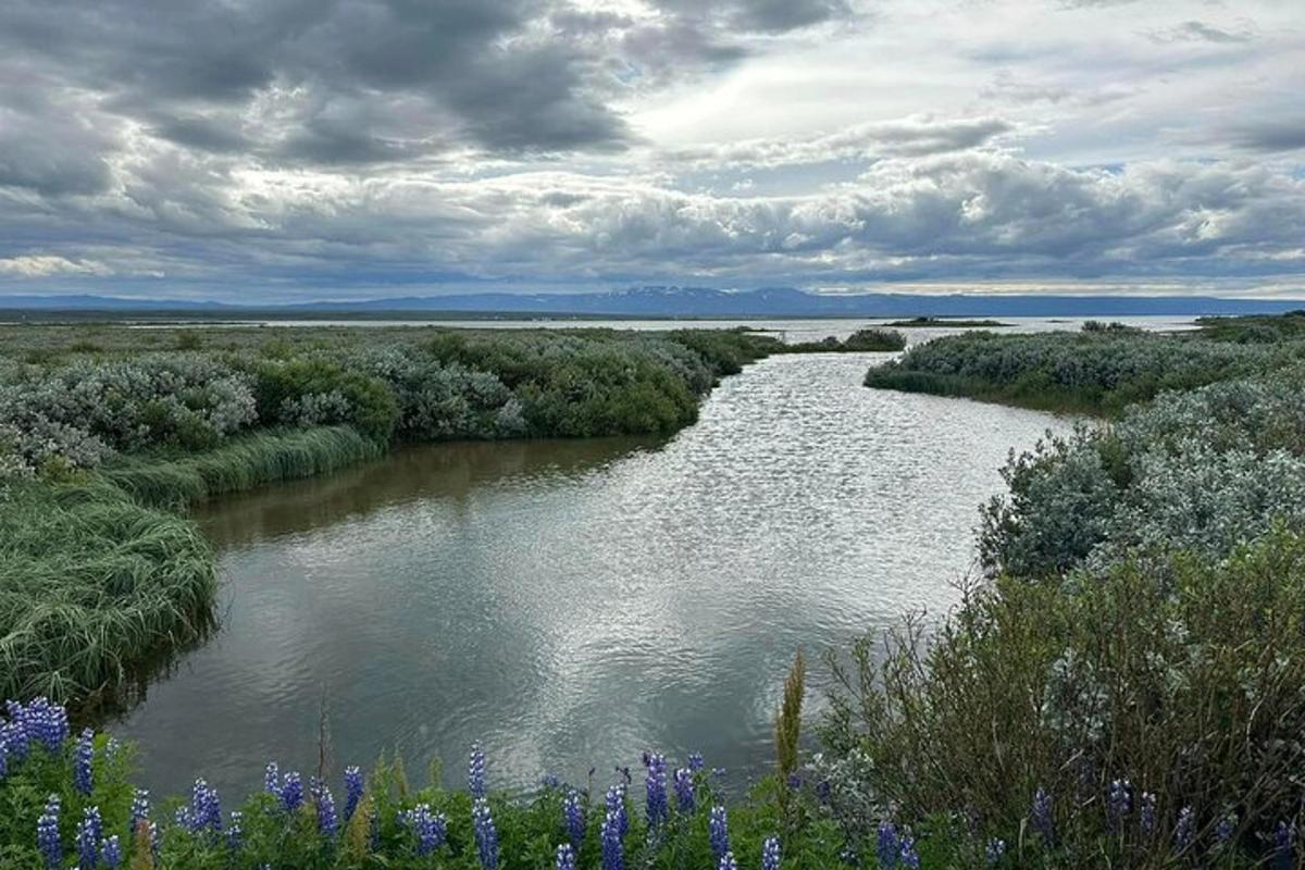 Ljósmynd af afþreyingu 7