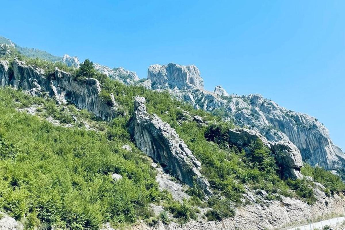 skalnatá hora s trávou a stromy