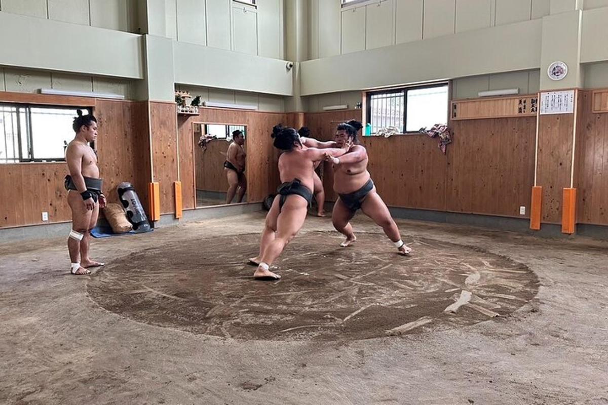 un gruppo di uomini che combattono su un ring di wrestling