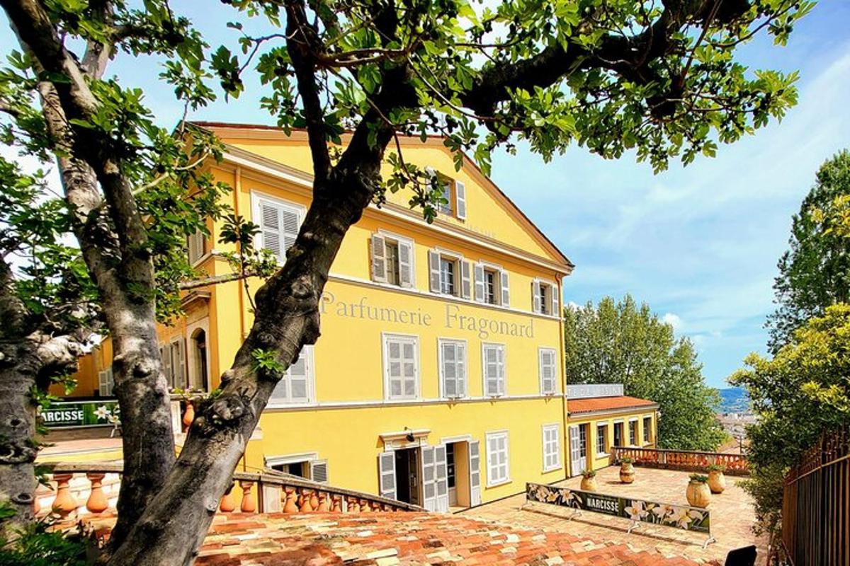 žlutá budova se stromem před ní