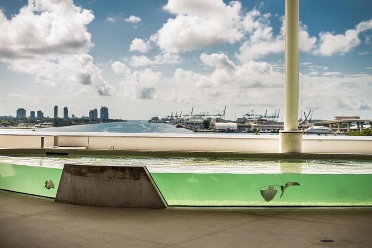 a skateboard ramp in front of a body of water