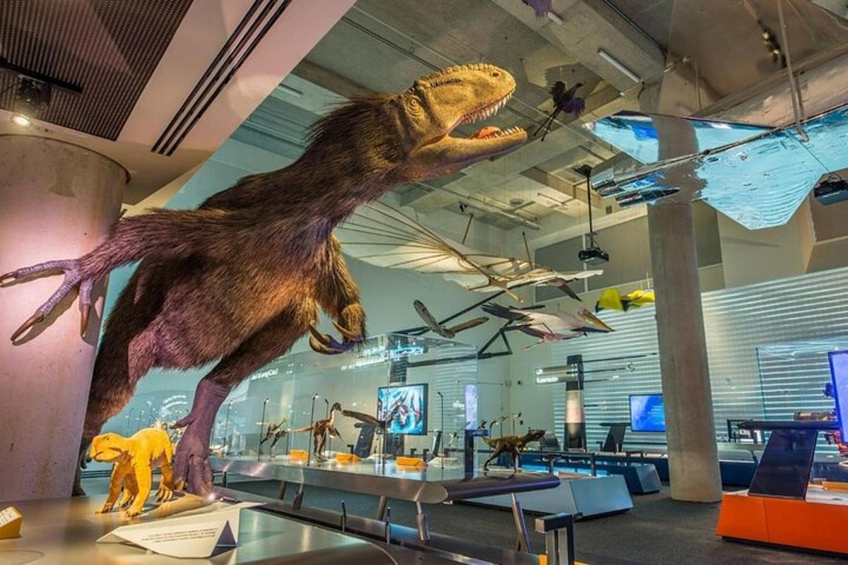 dinosaurus visící ze stropu muzea