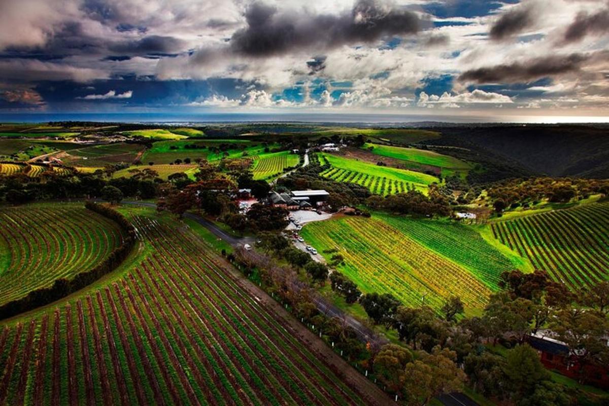una vista aerea di un campo verde con alberi