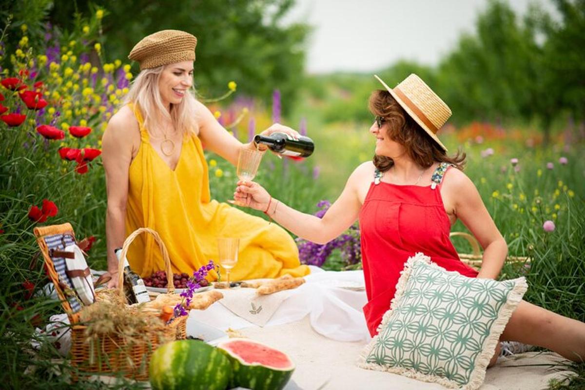 due donne sedute a un picnic con una bottiglia di vino