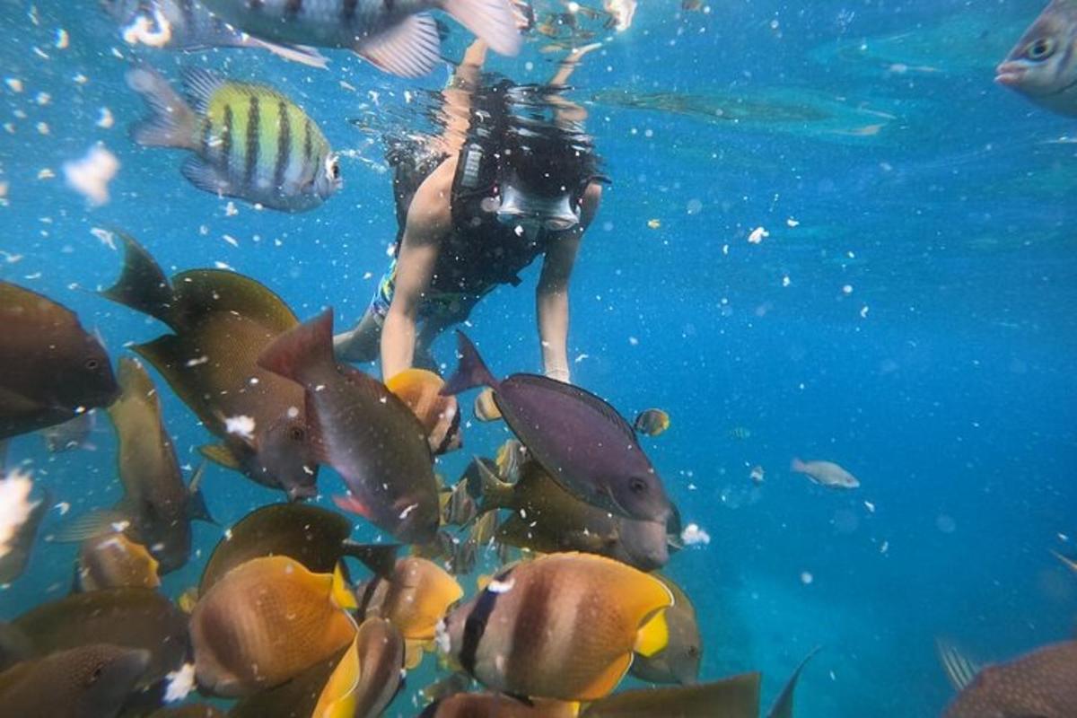 a person swimming in the water with fish