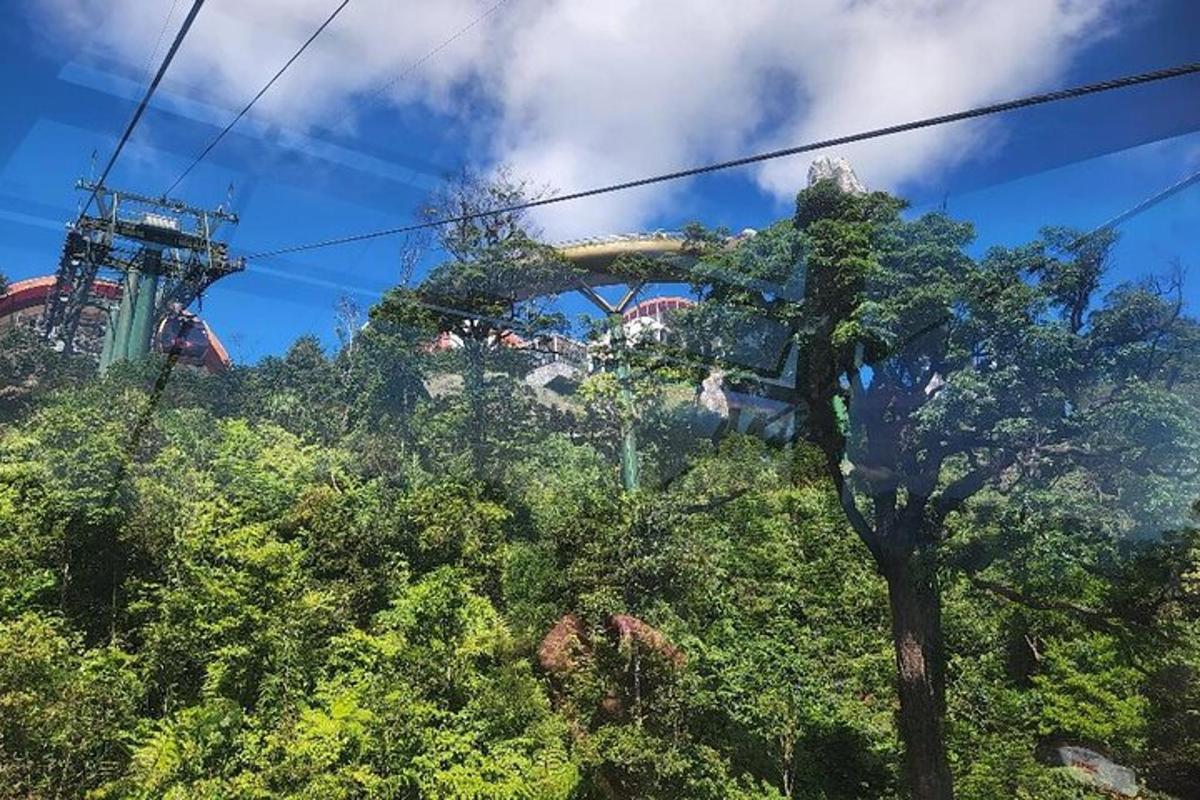 una montaña rusa en medio de los árboles