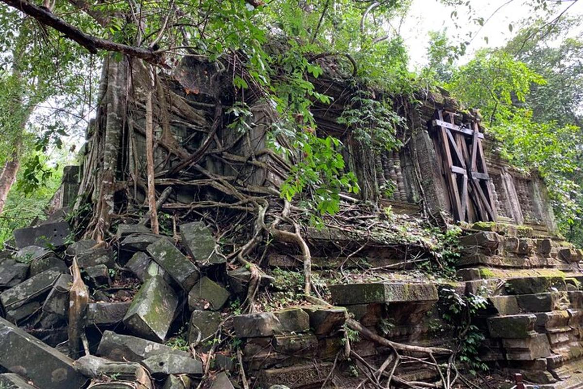 bangunan batu lama dengan pokok anggur tumbuh di atasnya