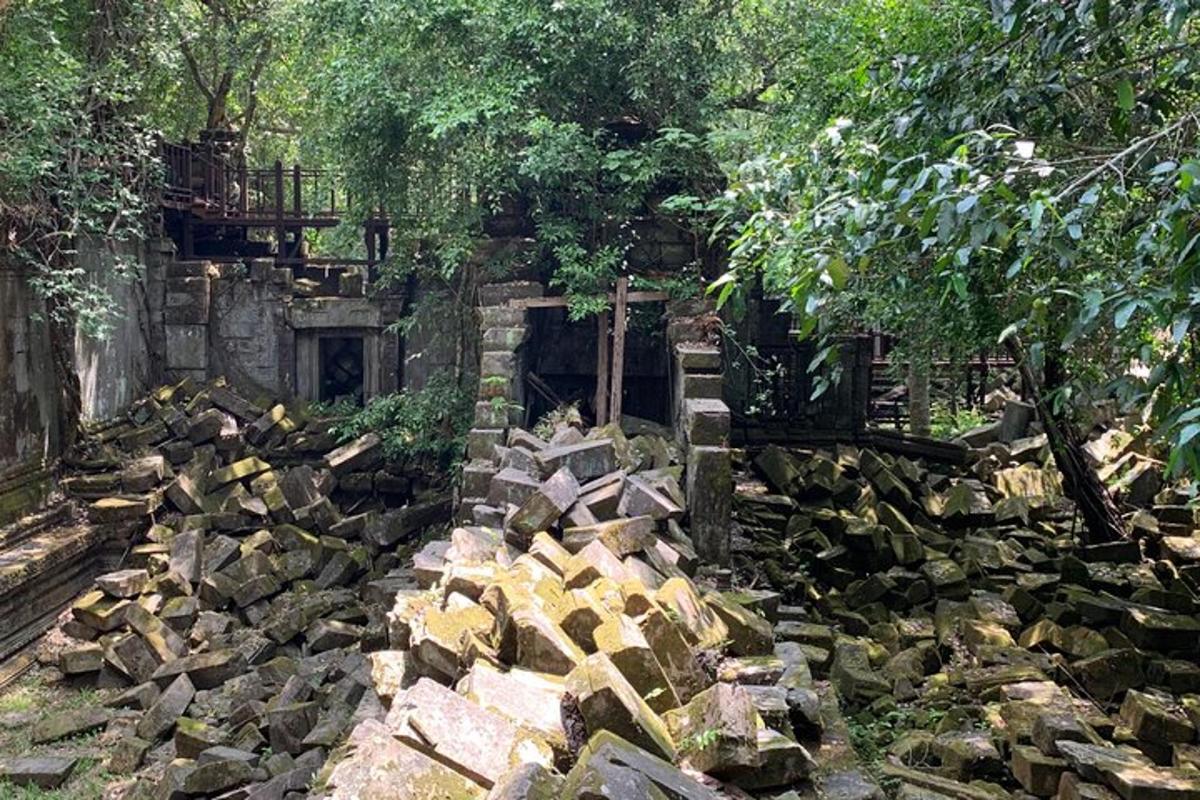 timbunan batu di halaman dengan pokok