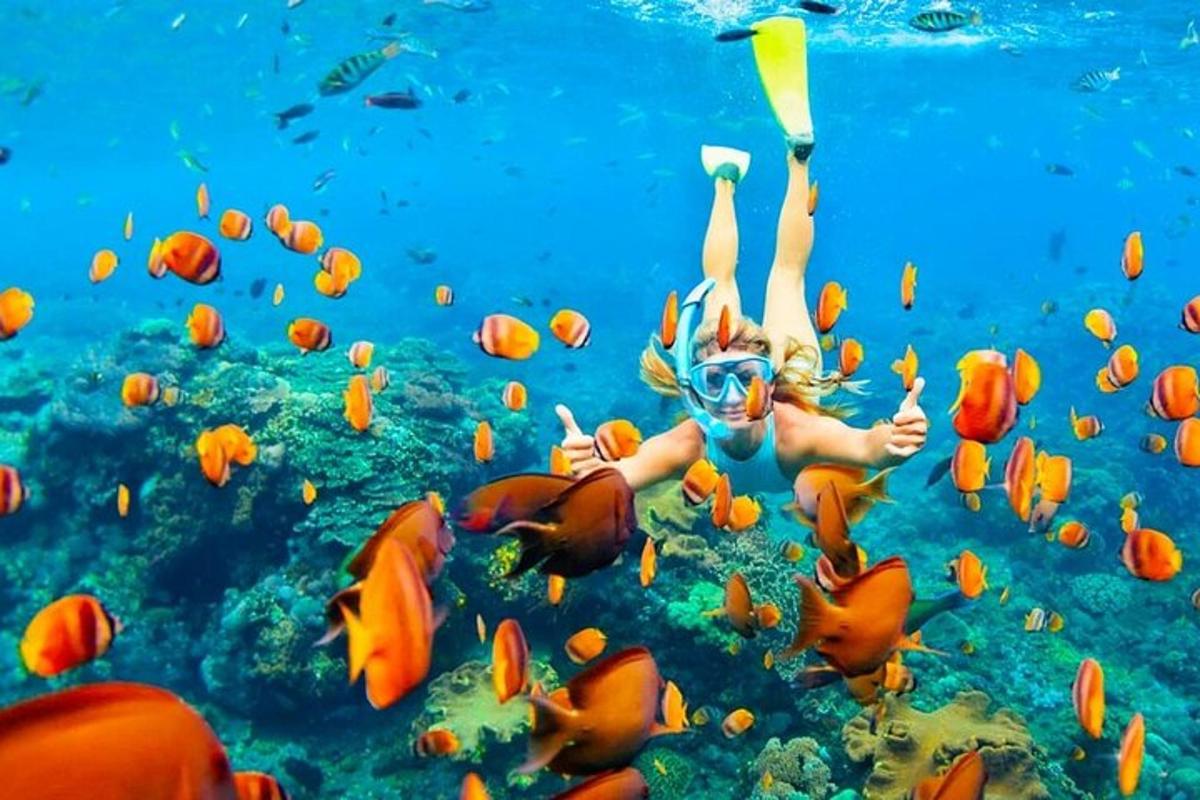 žena plave v oceánu s rybami