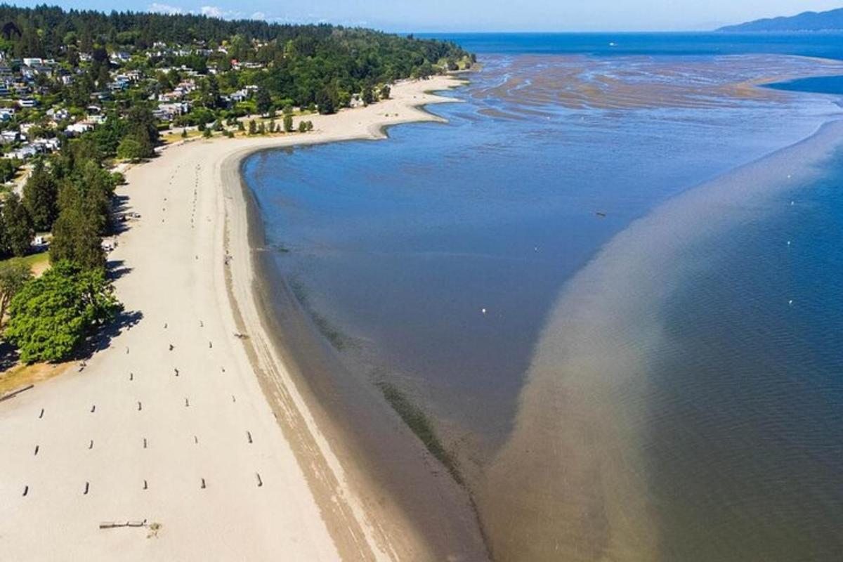 pemandangan udara pantai dan lautan