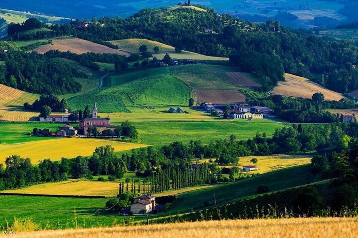 un campo verde con case e alberi su una collina