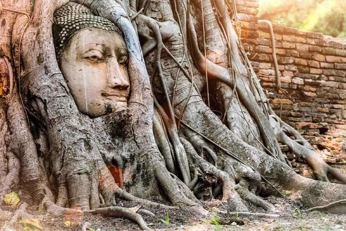 ภาพถ่ายสิ่งที่น่าสนใจภาพที่ 4